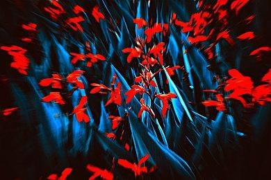 回顾过往作品 《海贼王》游戏特别短片“今天，像游戏的一天”