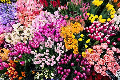 Xbox或正计划更换未来手柄的电机 提升触觉反馈